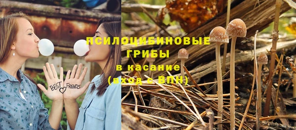 ГАЛЛЮЦИНОГЕННЫЕ ГРИБЫ Алексеевка