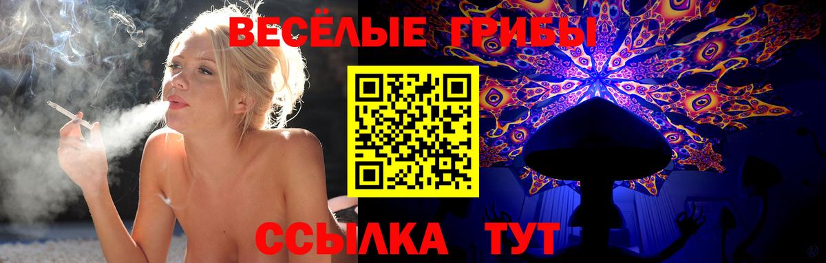 наркотики  Вход с VPN  Псилоцибиновые грибы мухоморы  Глазов  Галлюциногенные грибы Psilocybine cubensis 